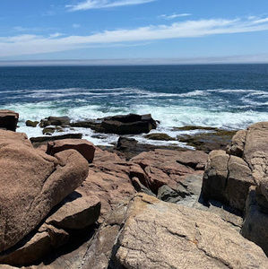 Meet your Posher, Emma